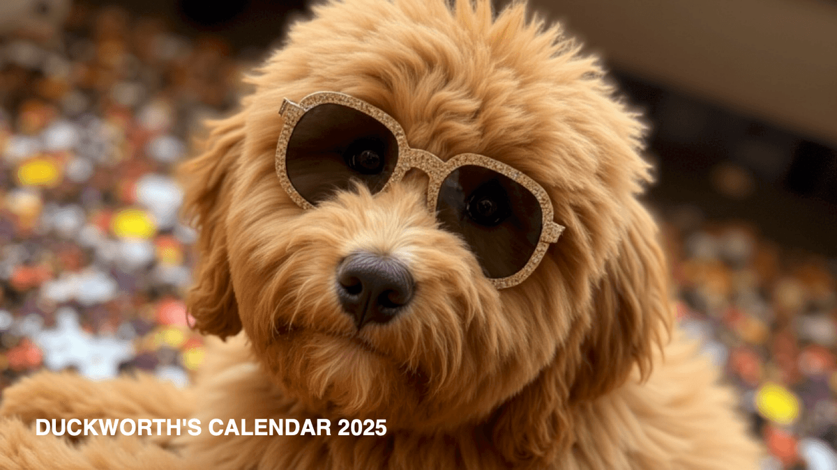 Ducky wearing sunglasses on the calendar cover that inspired Remix Camera