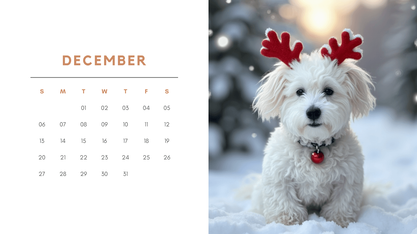 Rusty calendar cover
